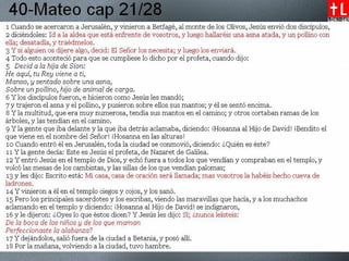 40-28-Mateo