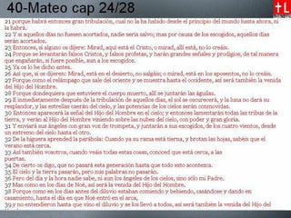 40-28-Mateo