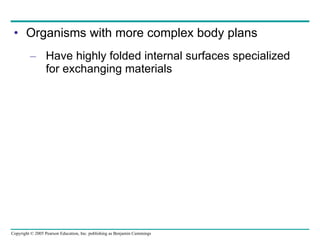 Organisms with more complex body plans Have highly folded internal surfaces specialized for exchanging materials 