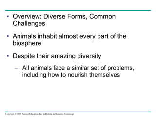 Overview: Diverse Forms, Common Challenges Animals inhabit almost every part of the biosphere Despite their amazing diversity All animals face a similar set of problems, including how to nourish themselves 