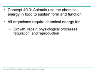 Concept 40.3: Animals use the chemical energy in food to sustain form and function All organisms require chemical energy for Growth, repair, physiological processes, regulation, and reproduction 
