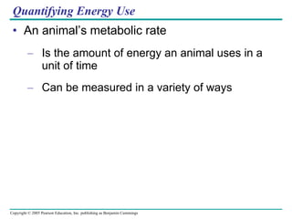 An animal’s metabolic rate Is the amount of energy an animal uses in a unit of time Can be measured in a variety of ways Quantifying Energy Use 