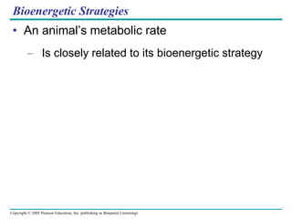An animal’s metabolic rate Is closely related to its bioenergetic strategy Bioenergetic Strategies 