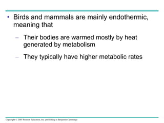 Birds and mammals are mainly endothermic, meaning that Their bodies are warmed mostly by heat generated by metabolism They typically have higher metabolic rates 