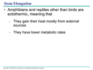 Stem Elongation Amphibians and reptiles other than birds are ectothermic, meaning that They gain their heat mostly from external sources They have lower metabolic rates 