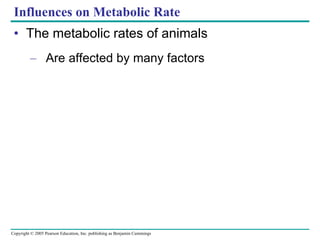 The metabolic rates of animals Are affected by many factors Influences on Metabolic Rate 