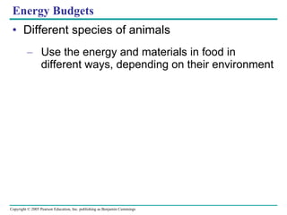 Different species of animals Use the energy and materials in food in different ways, depending on their environment Energy Budgets 