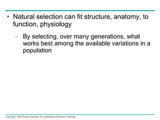Natural selection can fit structure, anatomy, to function, physiology By selecting, over many generations, what works best among the available variations in a population 