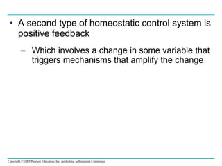 A second type of homeostatic control system is positive feedback Which involves a change in some variable that triggers mechanisms that amplify the change 