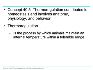 Concept 40.5: Thermoregulation contributes to homeostasis and involves anatomy, physiology, and behavior Thermoregulation Is the process by which animals maintain an internal temperature within a tolerable range 