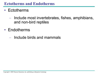 Ectotherms Include most invertebrates, fishes, amphibians, and non-bird reptiles Endotherms Include birds and mammals Ectotherms and Endotherms 