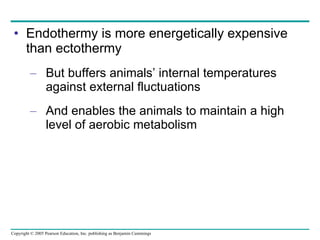 Endothermy is more energetically expensive than ectothermy But buffers animals’ internal temperatures against external fluctuations And enables the animals to maintain a high level of aerobic metabolism 
