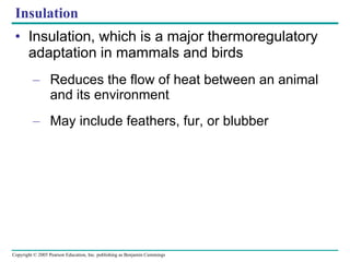 Insulation Insulation, which is a major thermoregulatory adaptation in mammals and birds Reduces the flow of heat between an animal and its environment May include feathers, fur, or blubber 
