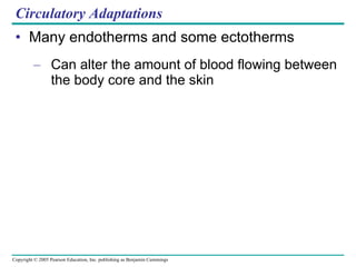 Many endotherms and some ectotherms Can alter the amount of blood flowing between the body core and the skin Circulatory Adaptations 