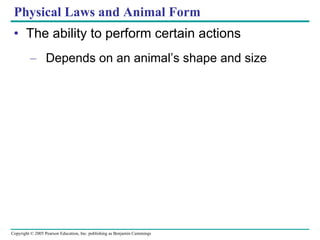 Physical Laws and Animal Form The ability to perform certain actions Depends on an animal’s shape and size 