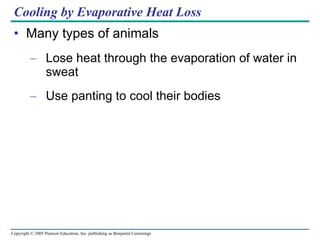 Cooling by Evaporative Heat Loss Many types of animals Lose heat through the evaporation of water in sweat Use panting to cool their bodies 