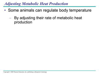 Adjusting Metabolic Heat Production Some animals can regulate body temperature By adjusting their rate of metabolic heat production 