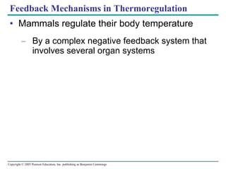 Mammals regulate their body temperature By a complex negative feedback system that involves several organ systems Feedback Mechanisms in Thermoregulation 