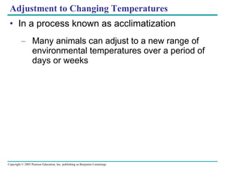 Adjustment to Changing Temperatures In a process known as acclimatization Many animals can adjust to a new range of environmental temperatures over a period of days or weeks 