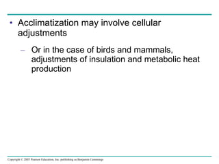 Acclimatization may involve cellular adjustments Or in the case of birds and mammals, adjustments of insulation and metabolic heat production 