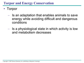Torpor and Energy Conservation Torpor Is an adaptation that enables animals to save energy while avoiding difficult and dangerous conditions Is a physiological state in which activity is low and metabolism decreases 