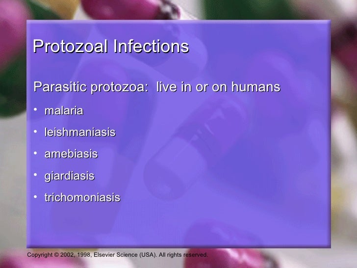 Anti Malarial Antiprotozoal And Antihelmintic Agents
