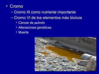 Cromo Cromo III como nutriente importante Cromo VI de los elementos más tóxicos Cáncer de pulmón Alteraciones genéticas Muerte 