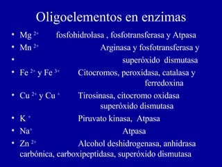 Oligoelementos en enzimas Mg  2+ fosfohidrolasa , fosfotransferasa y Atpasa Mn  2+   Arginasa y fosfotransferasa y superóxido  dismutasa Fe  2+  y Fe  3+   Citocromos, peroxidasa, catalasa y  ferredoxina Cu  2+  y Cu  +   Tirosinasa, citocromo oxidasa      superóxido dismutasa K  +  Piruvato kinasa,  Atpasa Na +   Atpasa Zn  2+   Alcohol deshidrogenasa, anhidrasa  carbónica, carboxipeptidasa, superóxido dismutasa 