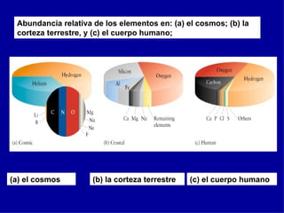 Abundancia relativa de los elementos en: (a) el cosmos; (b) la corteza terrestre, y (c) el cuerpo humano;  (a) el cosmos (b) la corteza terrestre (c) el cuerpo humano 
