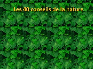 Les 40 conseils de la nature 