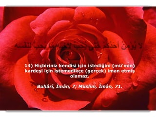 14) Hiçbiriniz kendisi için istediğini (mü’min)
kardeşi için istemedikçe (gerçek) iman etmiş
                   olamaz.

     Buhârî, Îmân, 7; Müslim, Îmân, 71.
 