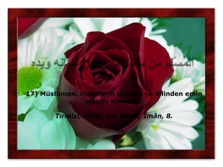 17) Müslüman, insanların elinden ve dilinden emin
                olduğu kimsedir.

        Tirmizî, Îmân, 12; Nesâî, Îmân, 8.
 