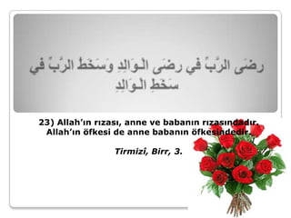 23) Allah’ın rızası, anne ve babanın rızasındadır.
 Allah’ın öfkesi de anne babanın öfkesindedir.

                 Tirmizî, Birr, 3.
 