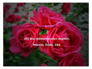 35) Bizi aldatan bizden değildir.

      Müslim, Îmân, 164.
 