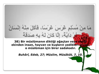 38) Bir müslümanın diktiği ağaçtan veya ektiği
ekinden insan, hayvan ve kuşların yedikleri şeyler,
         o müslüman için birer sadakadır.

    Buhârî, Edeb, 27; Müslim, Müsâkât, 7, 10.
 