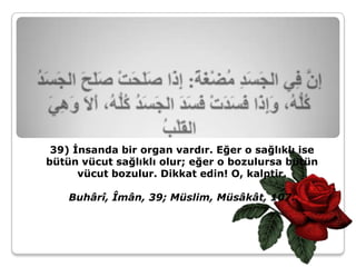 39) İnsanda bir organ vardır. Eğer o sağlıklı ise
bütün vücut sağlıklı olur; eğer o bozulursa bütün
      vücut bozulur. Dikkat edin! O, kalptir.

    Buhârî, Îmân, 39; Müslim, Müsâkât, 107.
 