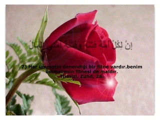 7) Her ümmetin denendiği bir fitne vardır.benim
         ümmetimin fitnesi de maldır.
              Tirmizi, Zühd, 26.
 