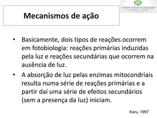 • Basicamente, dois tipos de reações ocorrem
em fotobiologia: reações primárias induzidas
pela luz e reações secundárias que ocorrem na
ausência de luz.
• A absorção de luz pelas enzimas mitocondriais
resulta numa série de reações primárias e a
partir daí uma série de efeitos secundários
(sem a presença da luz) iniciam.
Karu, 1997
 