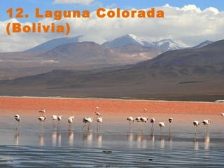 12. Laguna Colorada (Bolivia)   