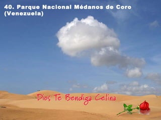 40. Parque Nacional Médanos de Coro (Venezuela)   