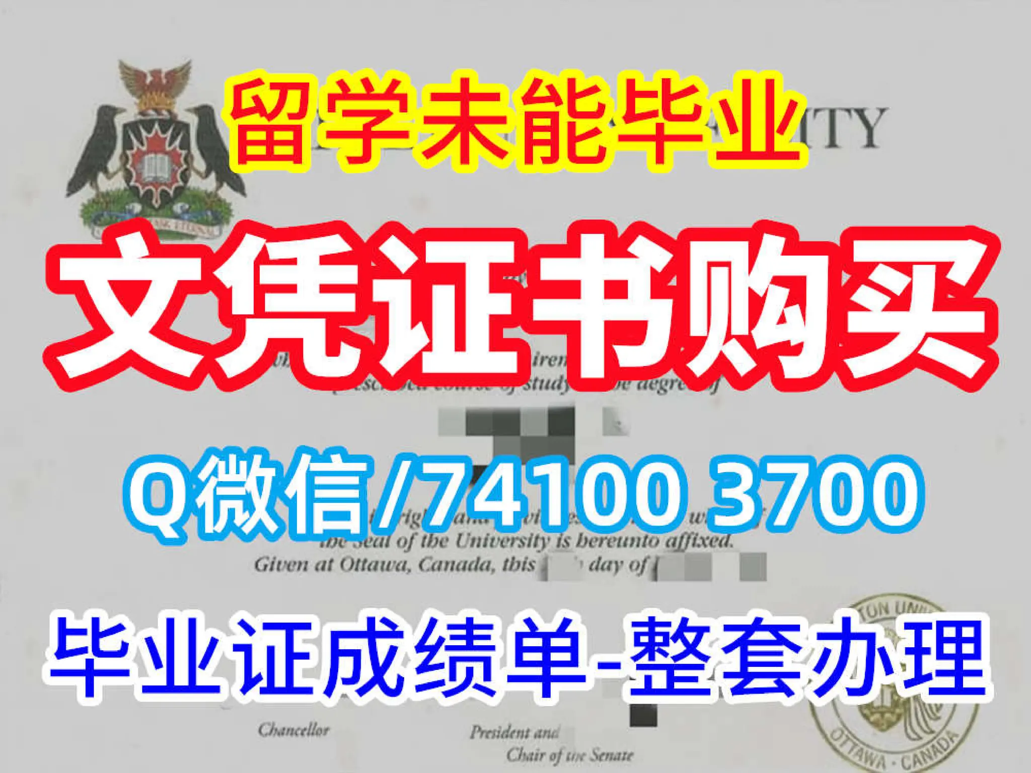 Ulm Transcript | PDF