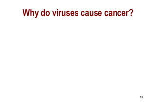 Why do viruses cause cancer? 