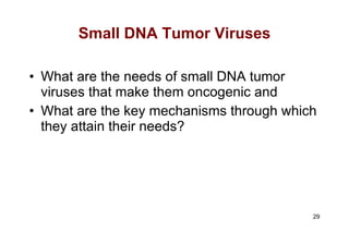 Small DNA Tumor Viruses What are the needs of small DNA tumor viruses that make them oncogenic and What are the key mechanisms through which they attain their needs? 
