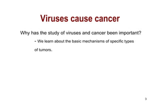 Viruses cause cancer Why has the study of viruses and cancer been important? -  We learn about the basic mechanisms of specific types  of tumors . 