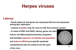 Herpes viruses Latency: - Small subset of viral genes are expressed that are not expressed  during lytic replication. - Latency is  partly  a way for virus to hide from immune system - In cases of EBV and KSHV, latency genes can also induce cell differentiation/activation programs that facilitate  expansion of infected cell population and  induce trafficking  to specific lymphoid  compartments that are suited to the life cycle of the virus 