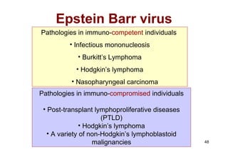 Epstein Barr virus Pathologies in immuno- competent  individuals  Infectious mononucleosis Burkitt’s Lymphoma Hodgkin’s lymphoma Nasopharyngeal carcinoma Pathologies in immuno- compromised  individuals Post-transplant lymphoproliferative diseases (PTLD) Hodgkin’s lymphoma A variety of non-Hodgkin’s lymphoblastoid malignancies 