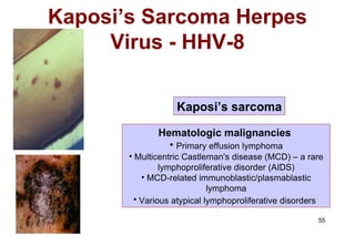 Kaposi’s Sarcoma Herpes Virus - HHV-8 Hematologic malignancies   Primary effusion lymphoma Multicentric Castleman's disease (MCD) – a rare lymphoproliferative disorder (AIDS) MCD-related immunoblastic/plasmablastic lymphoma Various atypical lymphoproliferative disorders   Kaposi’s sarcoma 