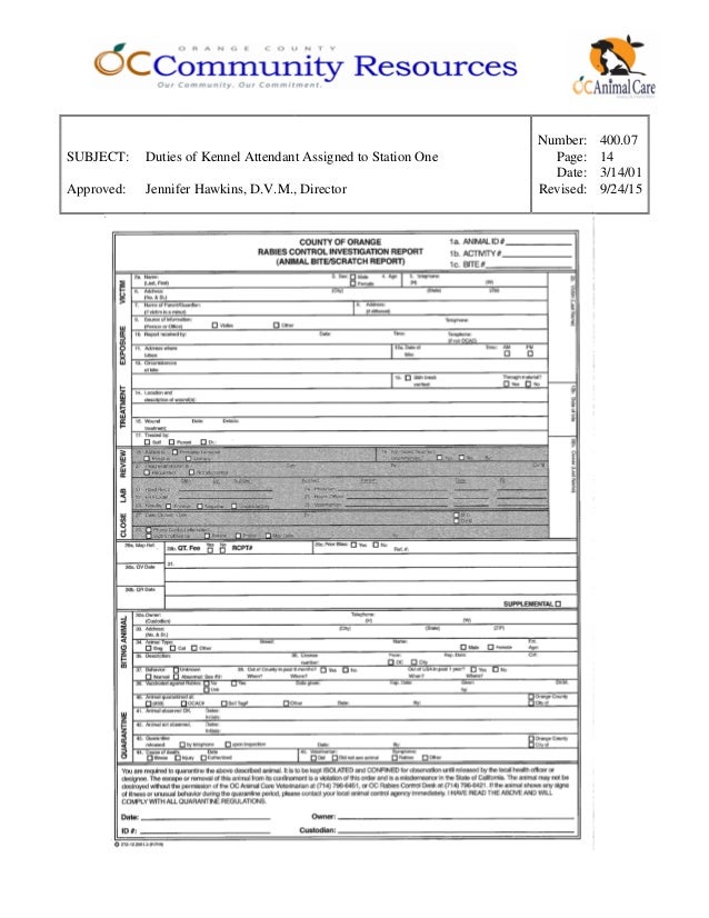 400.07 duties of kennel attendant assigned to station one