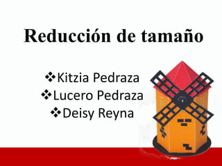Reducción de tamaño
Kitzia Pedraza
Lucero Pedraza
Deisy Reyna
 