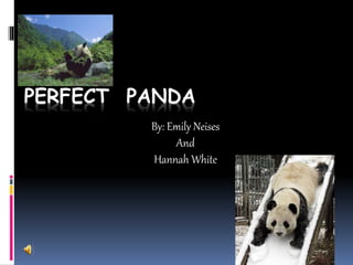 PERFECT PANDA PERFECT
PANDA By: Emily Neises
And
Hannah White
 